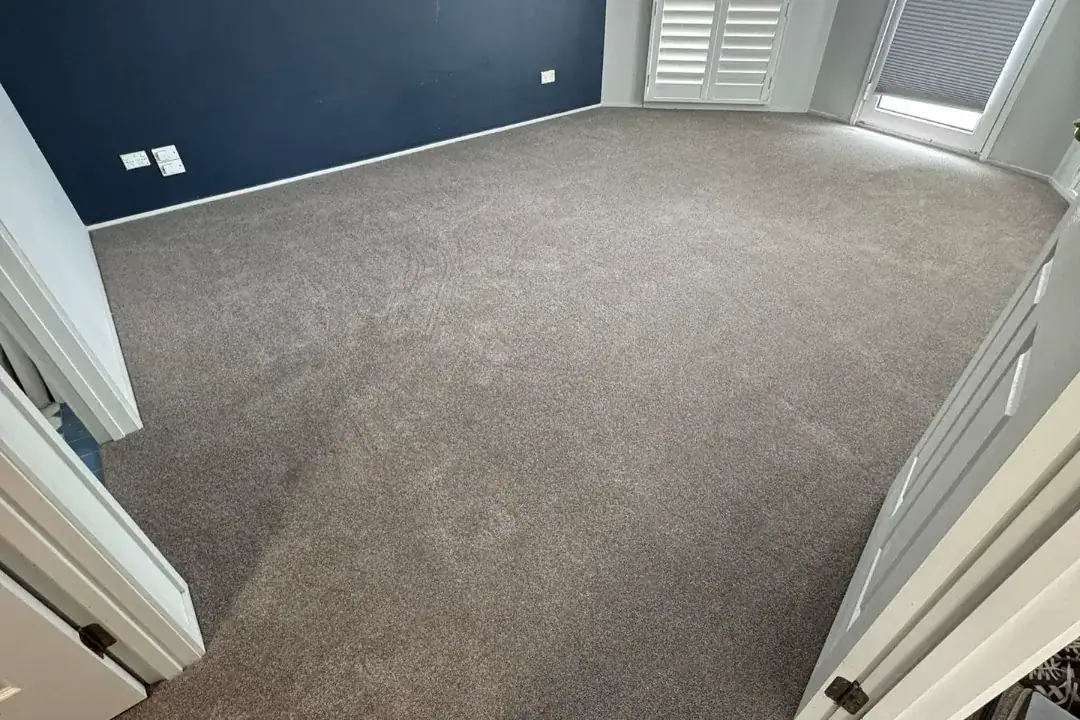 Carpet Auburn