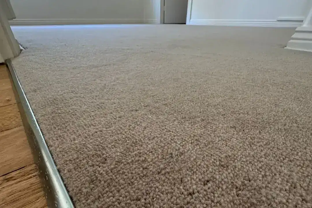 Carpet Auburn