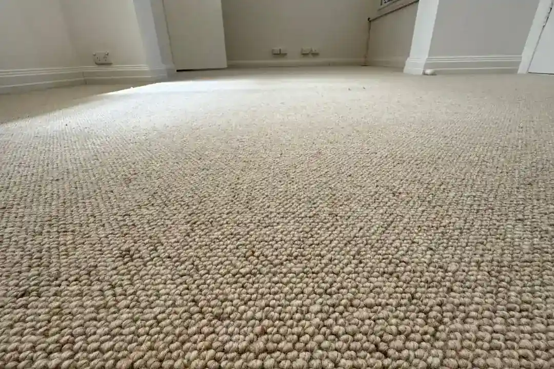 Carpet Auburn