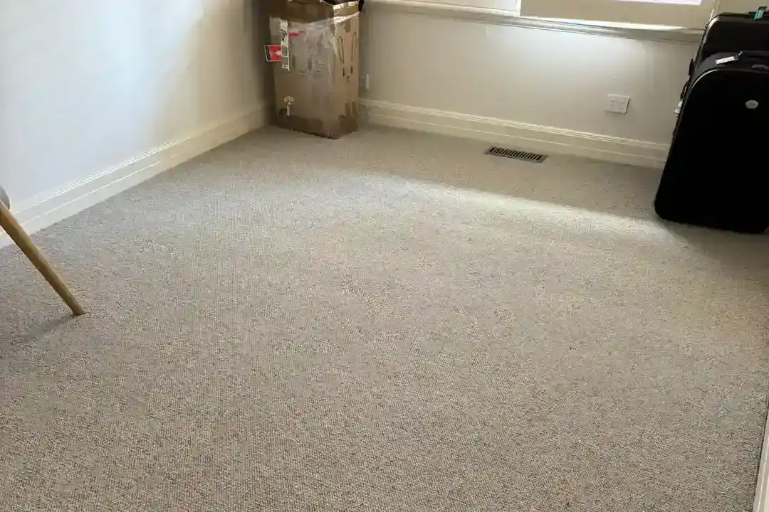 Carpet Ferntree Gully