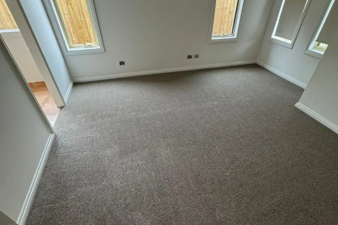 Carpet Lilydale