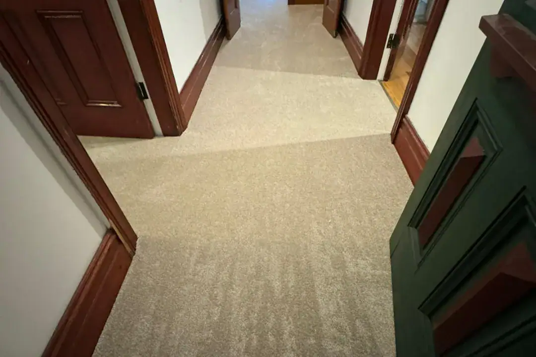 Carpet Lilydale